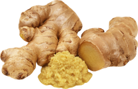 Organic Ginger - All Things Elderberry