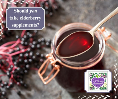 Choosing the Right Elderberry Supplement