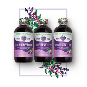 Three 8 ounce sized bottles of All Things Elderberry's Everyday Elderberry Elixir to boost you and your families immune system naturally